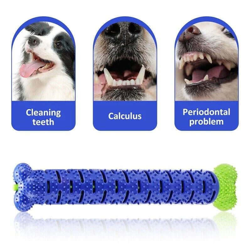 Teeth Cleaning Chew Brush Dog Toy - Zoomies Pet EmporiumTeeth Cleaning Chew Brush Dog ToyDog ToyZoomies Pet EmporiumZoomies Pet Emporium57f47068 - ae8e - 4ea2 - 94e2 - 72fe28fcc483Chew brush Toothbrush Dog Teeth Cleaning ToyChew brush Toothbrush Dog Teeth Cleaning Toy