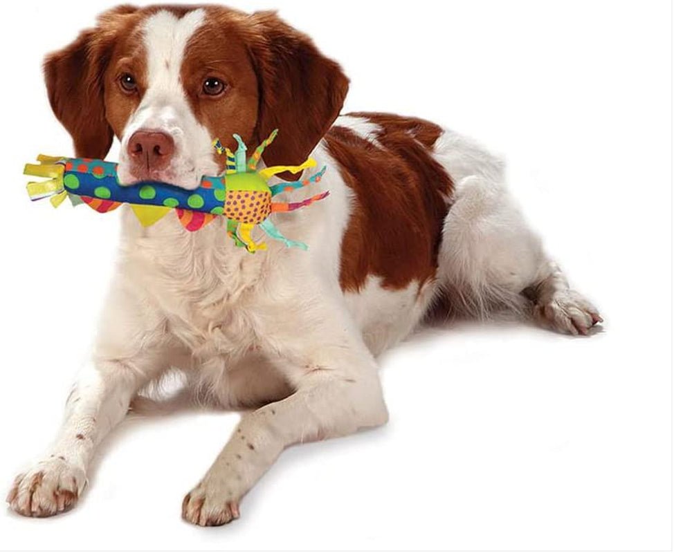 The Cool Teething Stick Dog Toy - Zoomies Pet EmporiumThe Cool Teething Stick Dog ToyDog ToyPetstagesZoomies Pet Emporiumc2b3343a - 479a - 4716 - 9297 - 9f7078a54b60313106698621Teething StickPet Stages Cool Teething Stick Dog Toy