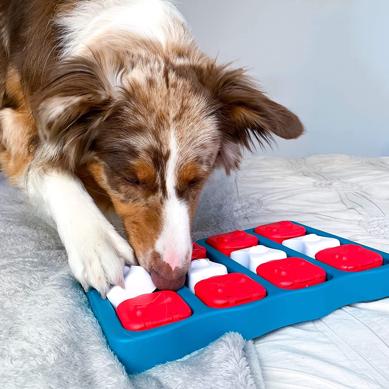 The Dog Brick Treat Puzzle Dog Toy - Zoomies Pet EmporiumThe Dog Brick Treat Puzzle Dog ToyDog ToyOutward HoundZoomies Pet Emporium77e6d09b - 47a5 - 4b56 - 95bb - 0bc94a419ab0711181469943Dog BrickLevel 2 (Intermediate)Nina Ottosson Dog Brick Interactive Treat Puzzle Dog Toy