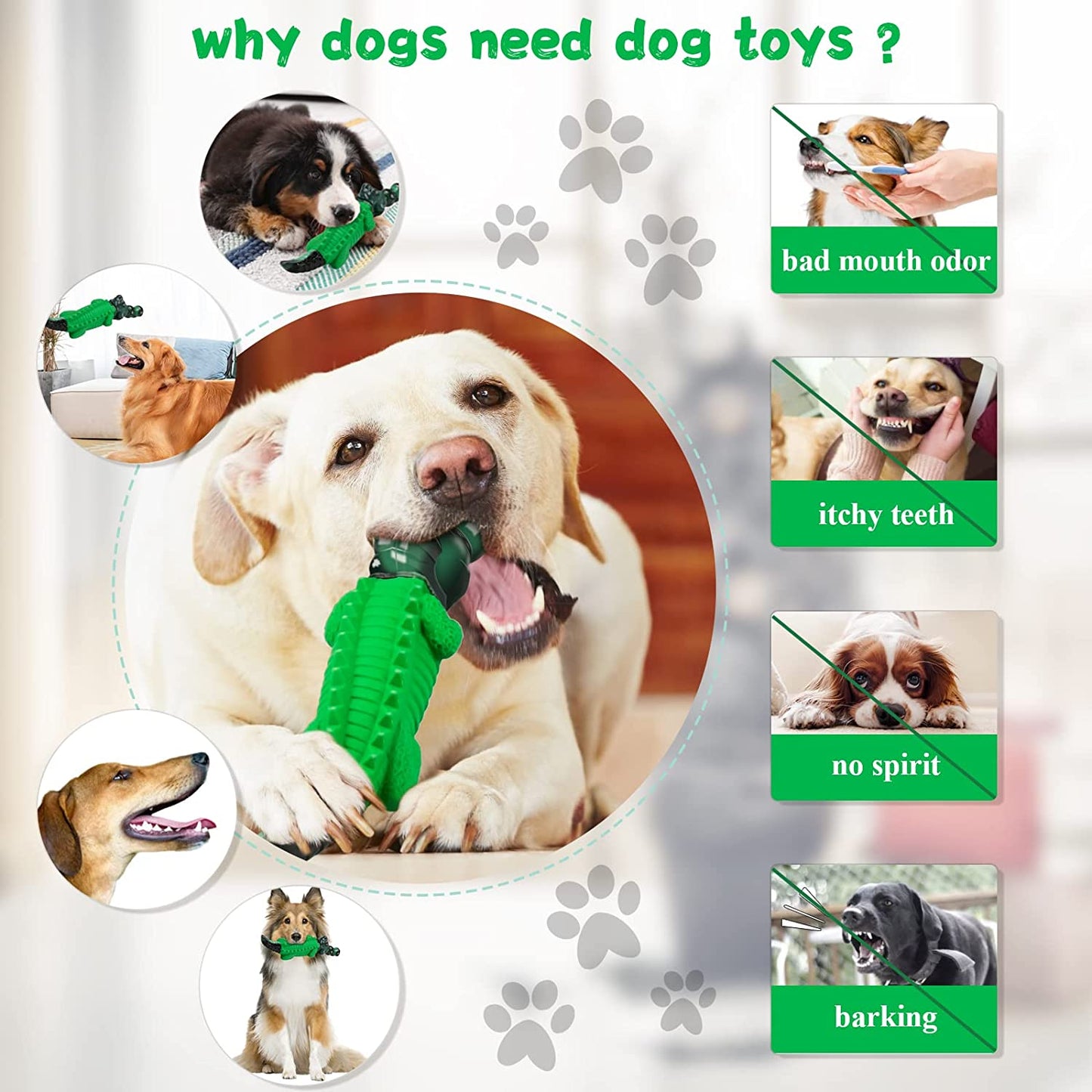 Tough Alligator Dog Chew Toy - Zoomies Pet EmporiumTough Alligator Dog Chew ToyDog ToyFuufomeZoomies Pet Emporiumbd93c30d - df57 - 44fc - ba20 - 592024efbf617445000900975GreenTough Alligator Dog Chew Toy for Aggressive Chewers