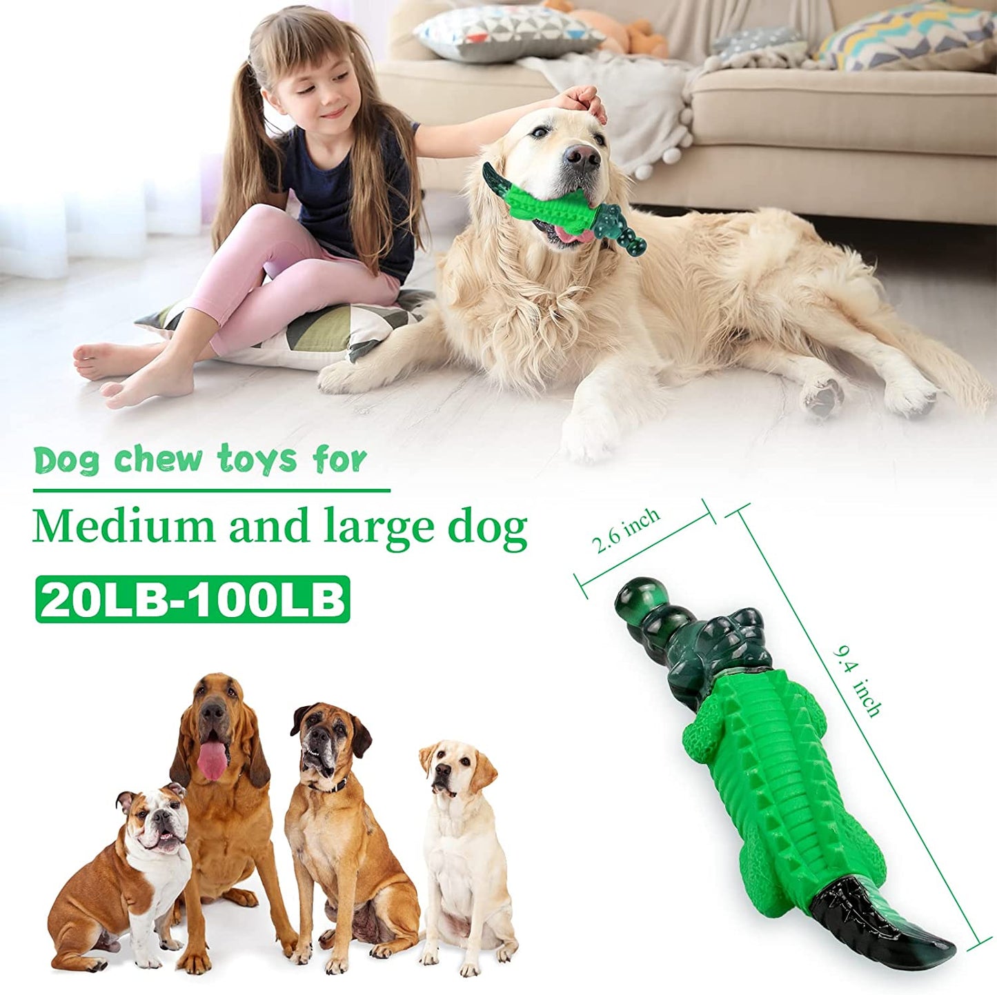 Tough Alligator Dog Chew Toy - Zoomies Pet EmporiumTough Alligator Dog Chew ToyDog ToyFuufomeZoomies Pet Emporiumbd93c30d - df57 - 44fc - ba20 - 592024efbf617445000900975GreenTough Alligator Dog Chew Toy for Aggressive Chewers