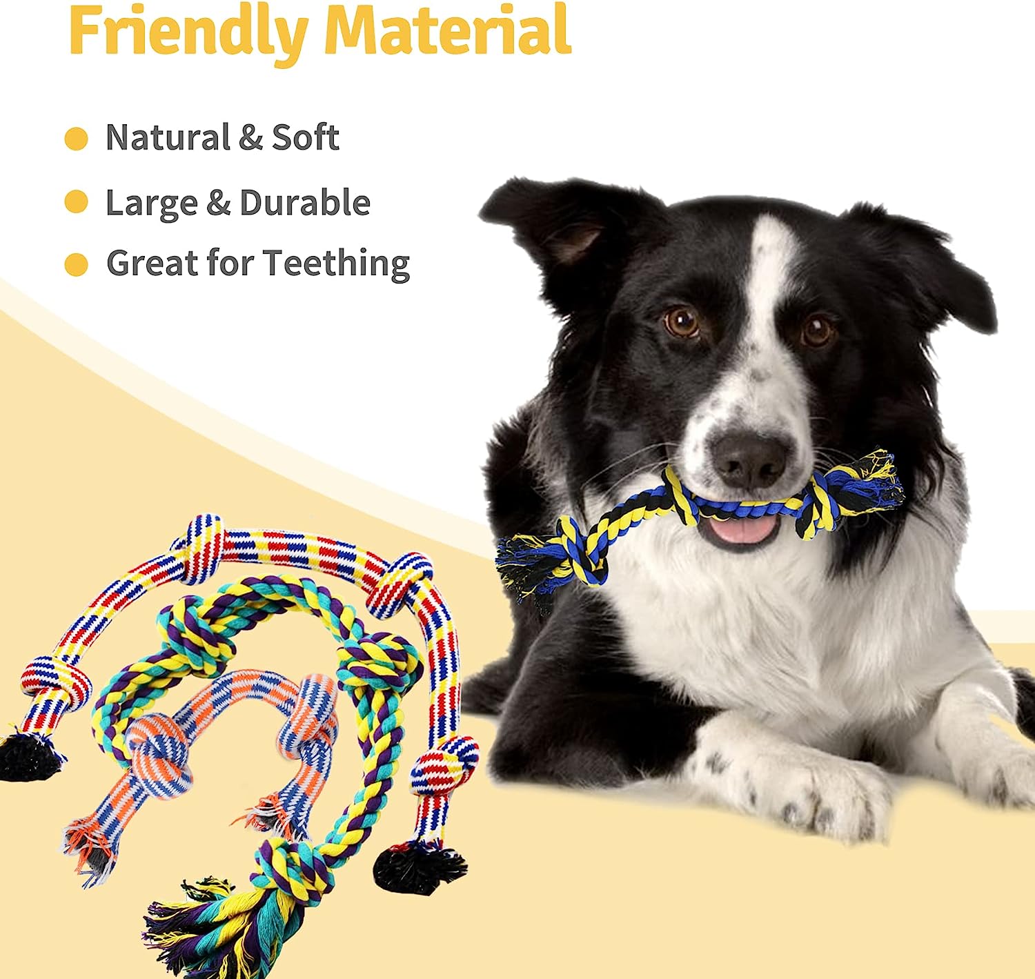 Ultimate 12 - Piece Chew Rope Dog Toy Set - Zoomies Pet EmporiumUltimate 12 - Piece Chew Rope Dog Toy SetDog ToyZeaxuieZoomies Pet Emporiumb6a23c8b - 540a - 4995 - ad3d - 098749d865f931303194391912 Pack Chew Rope Dog Toy Set